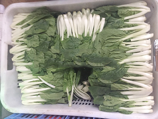 佛山農(nóng)產(chǎn)品配送 佛山農(nóng)產(chǎn)品配送