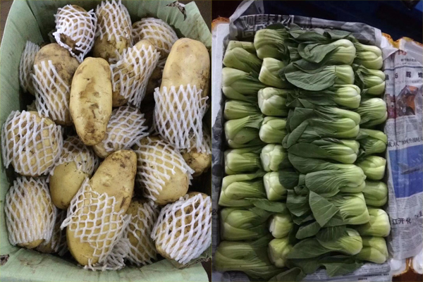 佛山食堂蔬菜配送 佛山食堂蔬菜配送